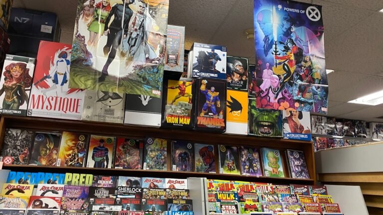 Comic Book Store The Canadian Comic Bin Stayner Ontario Comic Book Store The Canadian Comic Bin Stayner Ontario