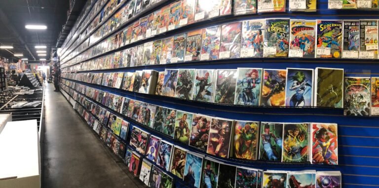 Comic Book Store Goodwill Bookstore Windsor Ontario