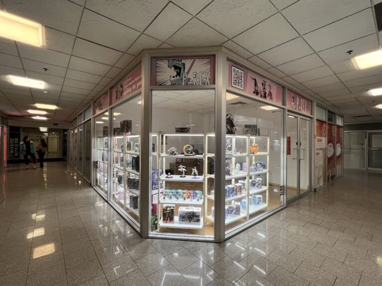 Comic Book Store P And Y Bookstore Inc Unionville ON