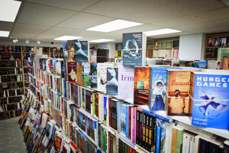 Comic Book Store Les Occases du Web Sainte-Marthe-sur-le-Lac Quebec