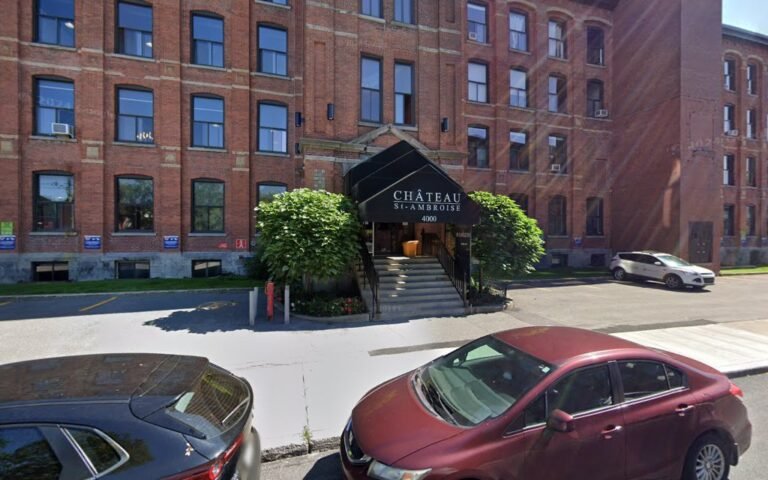 Comic Book Store Monster Comic Lounge Halifax Nova Scotia